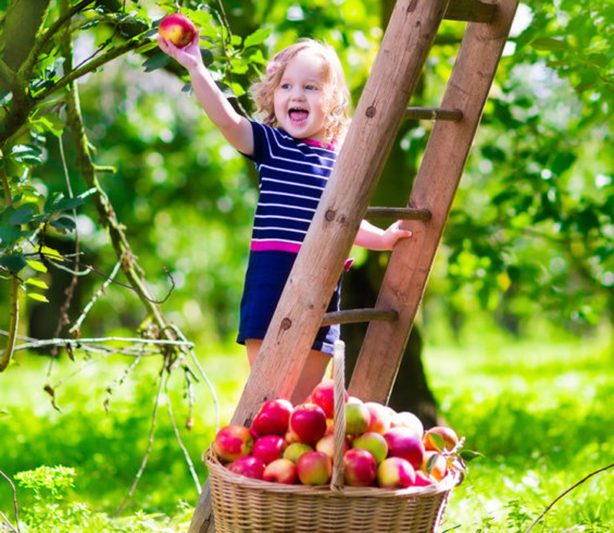 5 avantages des fruits et légumes sur la santé