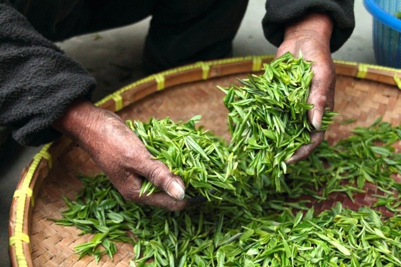 Thé minceur : notre sélection des meilleurs thés detox