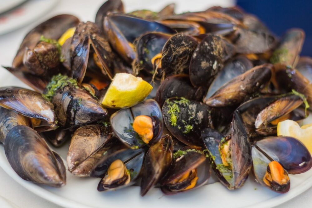 plat de moules