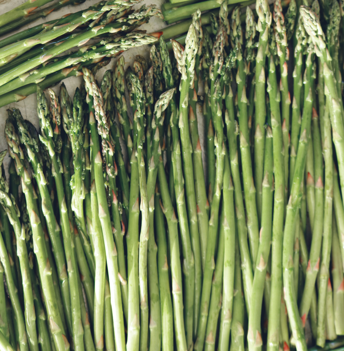 asperges