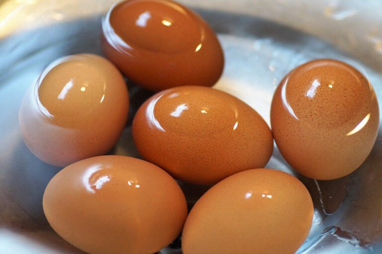 Estce que les œufs durs flottent ? Mes Gourmandises