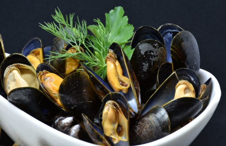 conservation moules