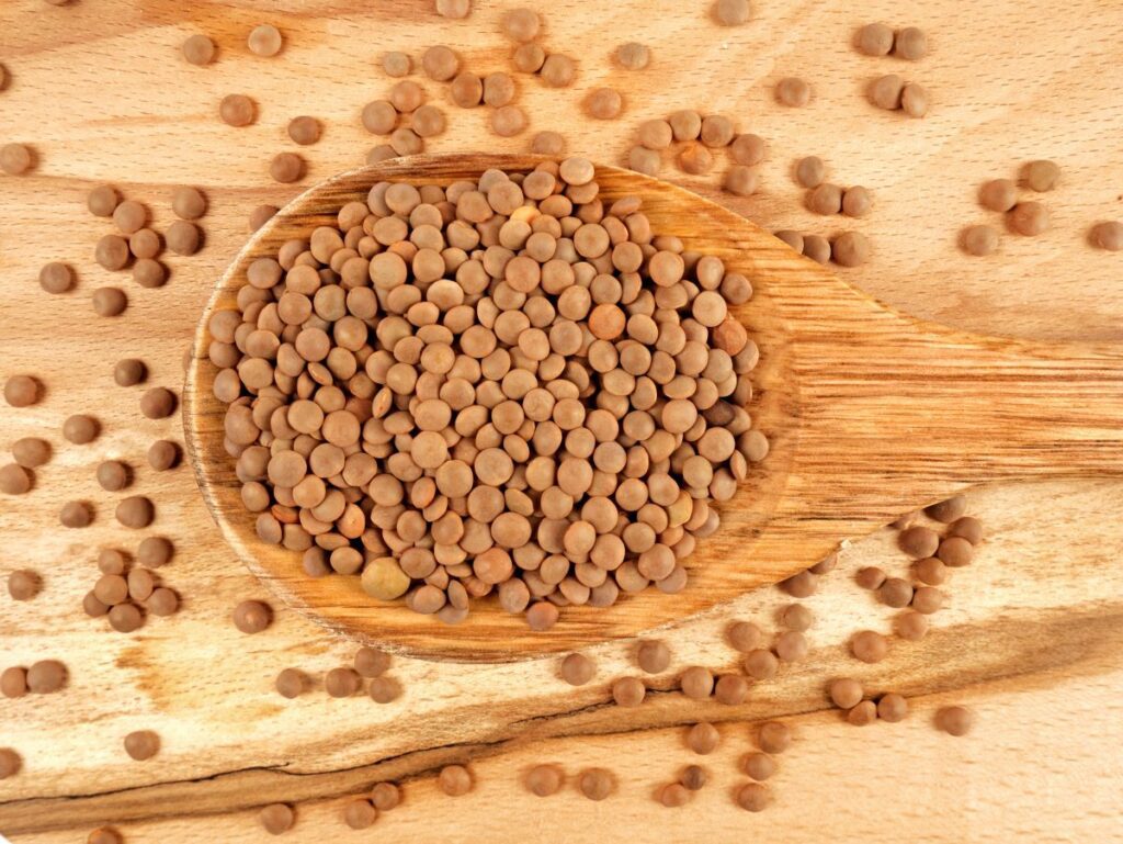 Comment poussent les lentilles ? Découvrez le processus de germination des lentilles Mes