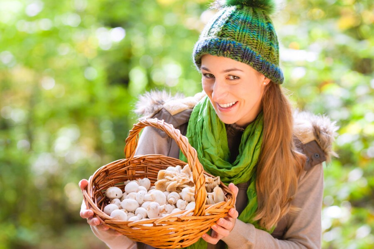 Champignons pourris