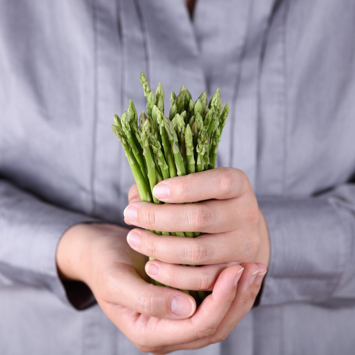 asperge congelée