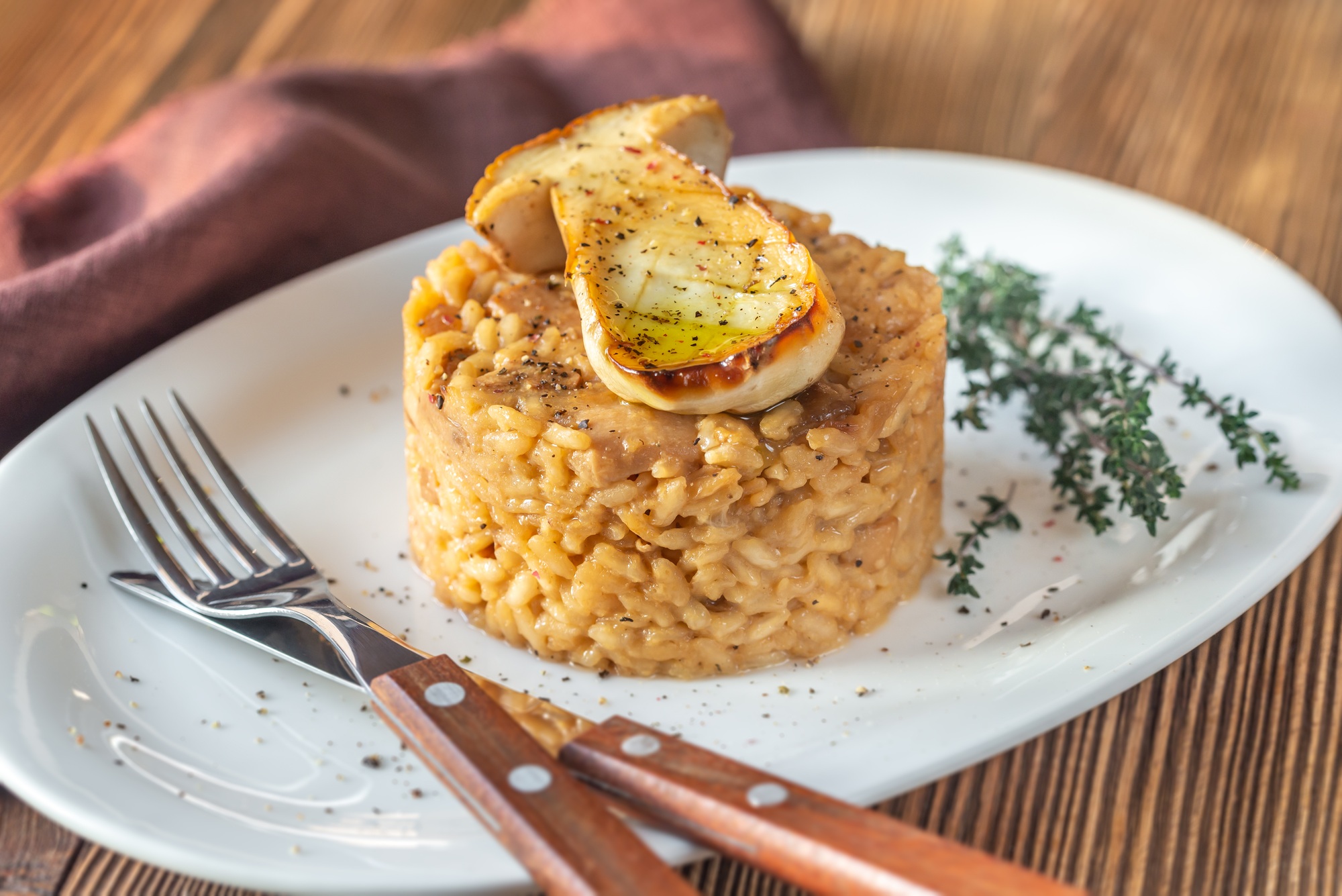 Risotto with porcini mushrooms
