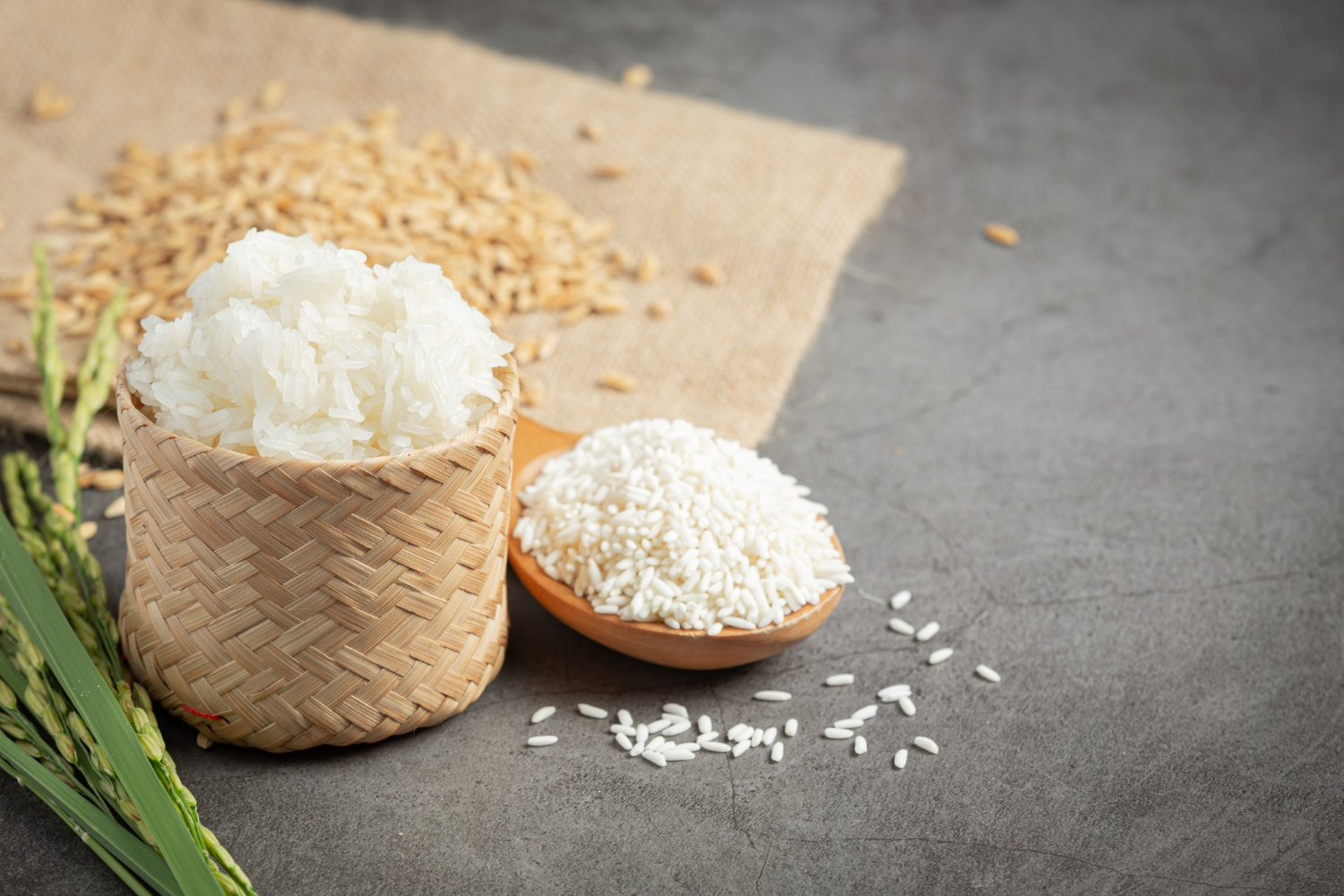 riz gluant laotien