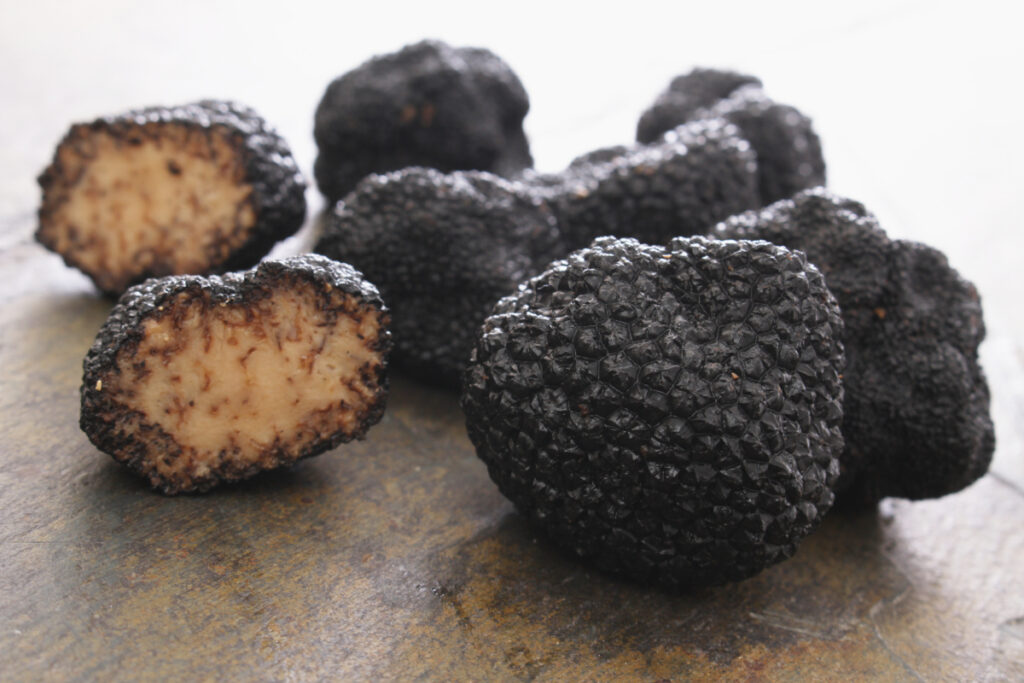 truffes