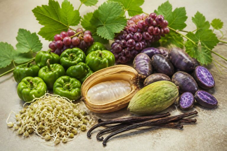 découvrez une liste variée de légumes et fruits commençant par la lettre v, accompagnée d'idées et exemples pour enrichir votre vocabulaire en français.