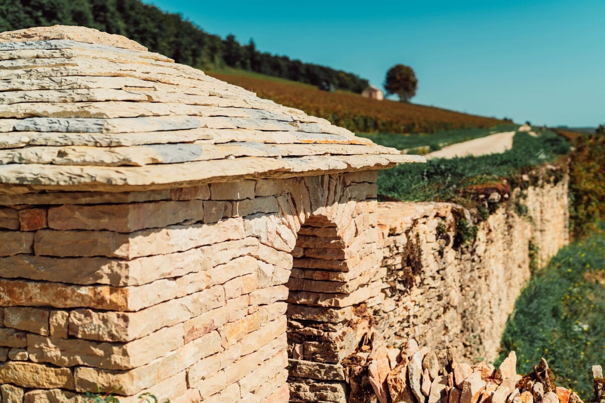 visiter vignoble des Cabottes